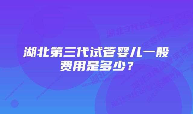 湖北第三代试管婴儿一般费用是多少？