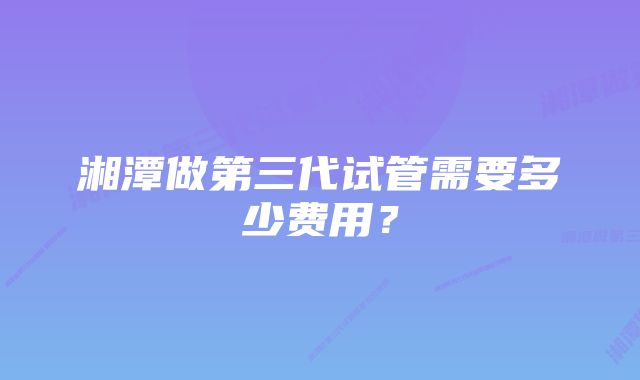 湘潭做第三代试管需要多少费用？