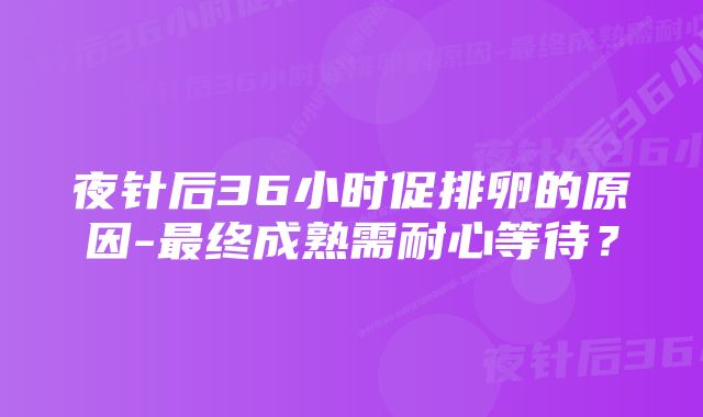 夜针后36小时促排卵的原因-最终成熟需耐心等待？