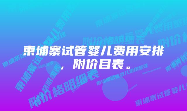 柬埔寨试管婴儿费用安排，附价目表。