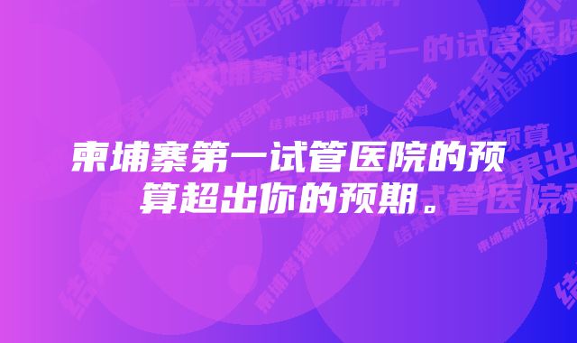 柬埔寨第一试管医院的预算超出你的预期。