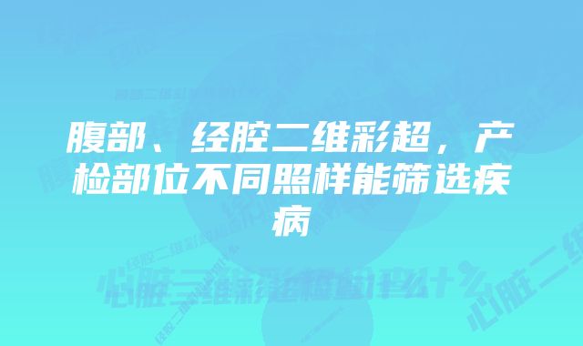 腹部、经腔二维彩超，产检部位不同照样能筛选疾病