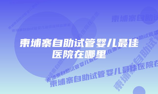 柬埔寨自助试管婴儿最佳医院在哪里