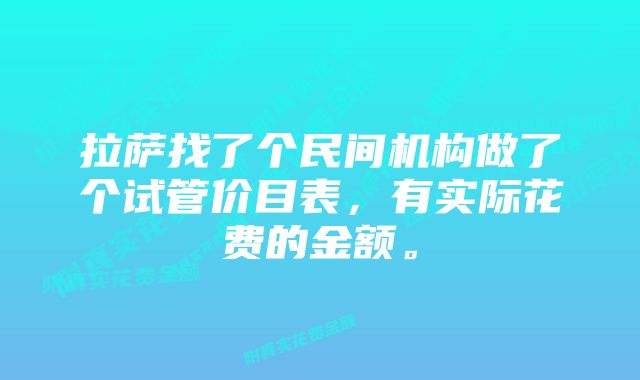 拉萨找了个民间机构做了个试管价目表，有实际花费的金额。