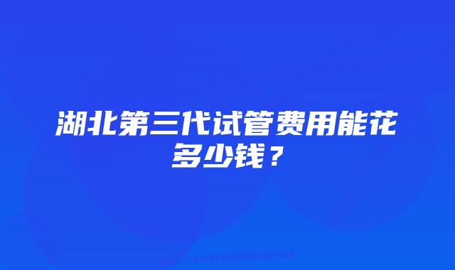 湖北第三代试管费用能花多少钱？