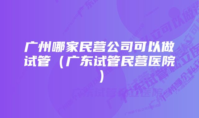 广州哪家民营公司可以做试管（广东试管民营医院）