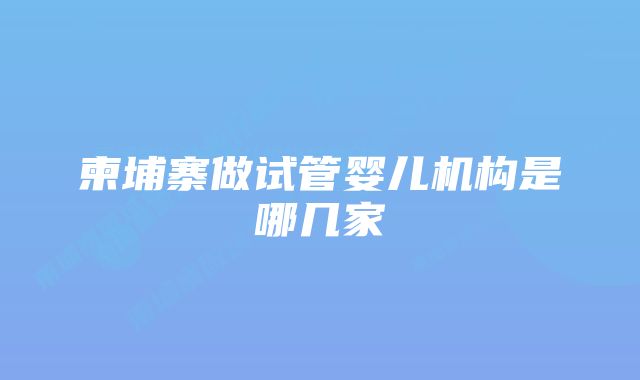 柬埔寨做试管婴儿机构是哪几家