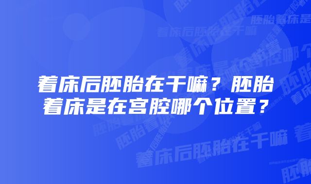 着床后胚胎在干嘛？胚胎着床是在宫腔哪个位置？