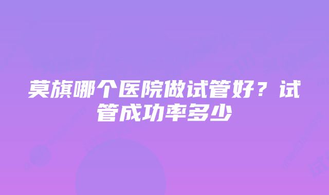 莫旗哪个医院做试管好？试管成功率多少