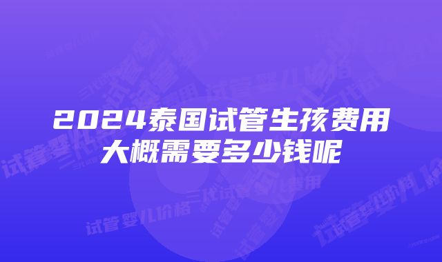 2024泰国试管生孩费用大概需要多少钱呢