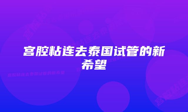 宫腔粘连去泰国试管的新希望