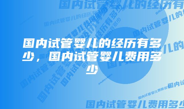 国内试管婴儿的经历有多少，国内试管婴儿费用多少