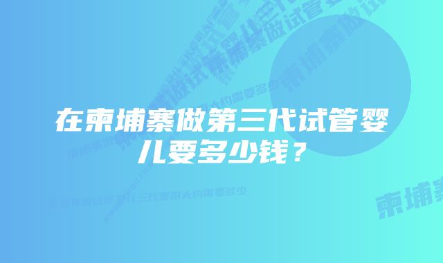 在柬埔寨做第三代试管婴儿要多少钱？