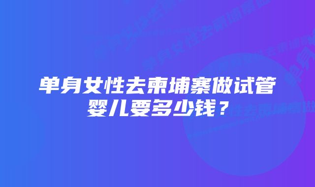 单身女性去柬埔寨做试管婴儿要多少钱？