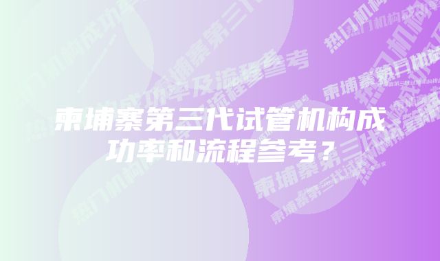 柬埔寨第三代试管机构成功率和流程参考？