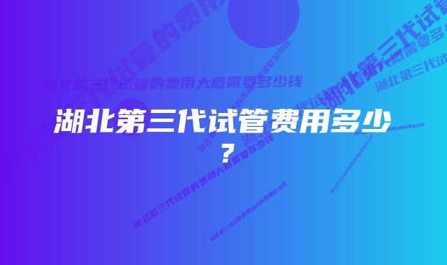 湖北第三代试管费用多少？