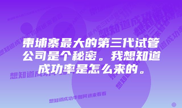 柬埔寨最大的第三代试管公司是个秘密。我想知道成功率是怎么来的。