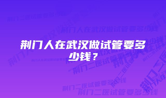 荆门人在武汉做试管要多少钱？