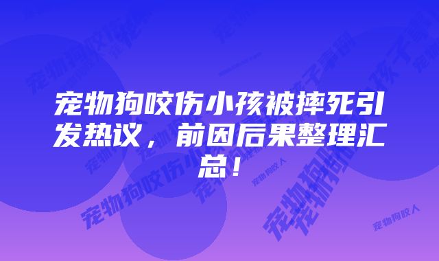 宠物狗咬伤小孩被摔死引发热议，前因后果整理汇总！