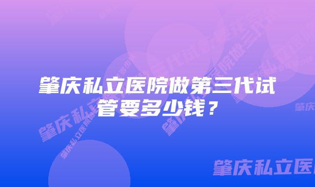 肇庆私立医院做第三代试管要多少钱？