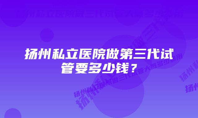 扬州私立医院做第三代试管要多少钱？