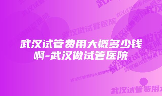 武汉试管费用大概多少钱啊-武汉做试管医院