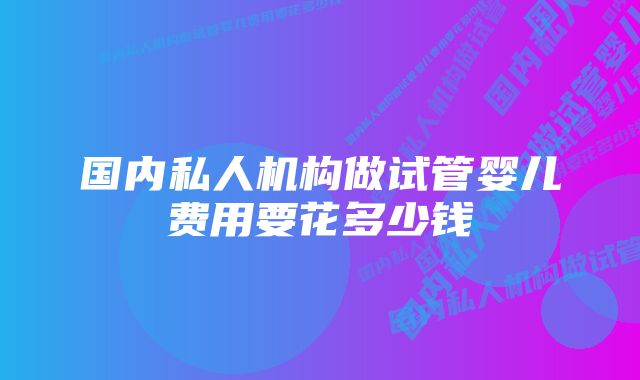 国内私人机构做试管婴儿费用要花多少钱