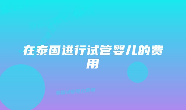 在泰国进行试管婴儿的费用