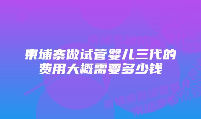 柬埔寨做试管婴儿三代的费用大概需要多少钱