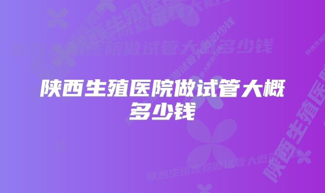 陕西生殖医院做试管大概多少钱