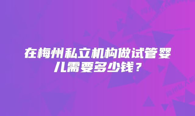 在梅州私立机构做试管婴儿需要多少钱？