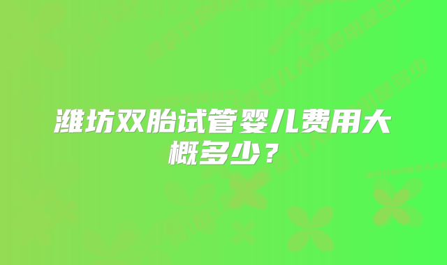 潍坊双胎试管婴儿费用大概多少？