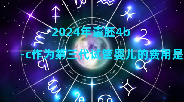 2024年囊胚4b-c作为第三代试管婴儿的费用是多少？