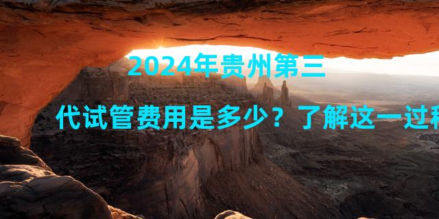 2024年贵州第三代试管费用是多少？了解这一过程可以降低成本。