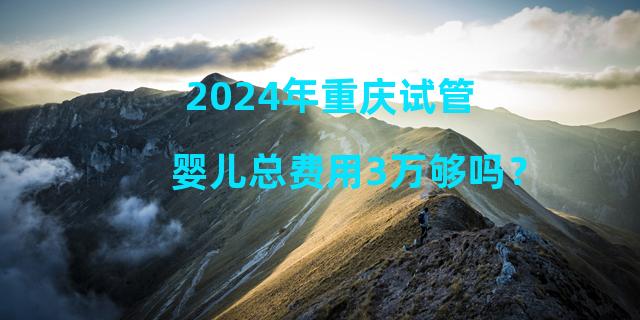 2024年重庆试管婴儿总费用3万够吗？