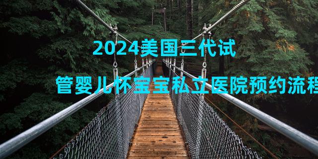 2024美国三代试管婴儿怀宝宝私立医院预约流程