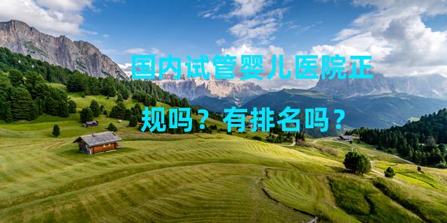 国内试管婴儿医院正规吗？有排名吗？