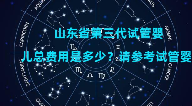 山东省第三代试管婴儿总费用是多少？请参考试管婴儿的费用。