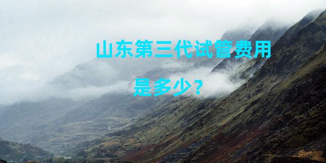 山东第三代试管费用是多少？