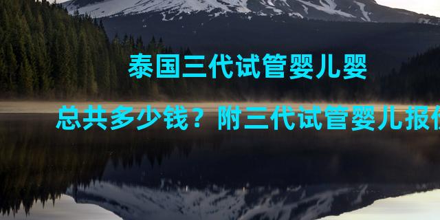 泰国三代试管婴儿婴总共多少钱？附三代试管婴儿报价!