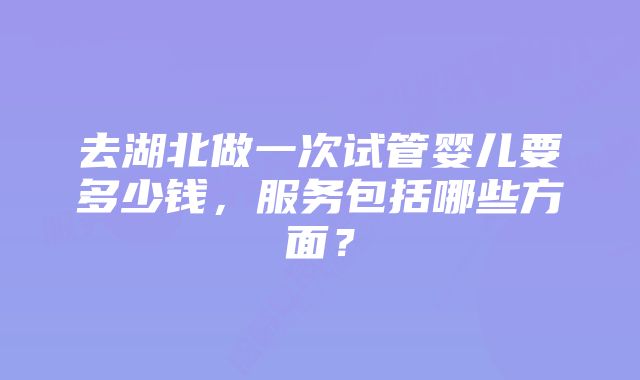 去湖北做一次试管婴儿要多少钱，服务包括哪些方面？