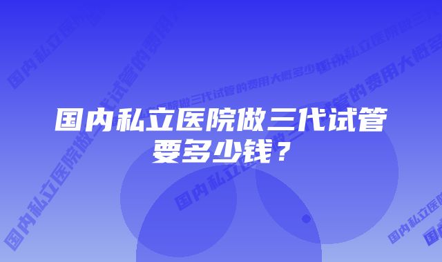 国内私立医院做三代试管要多少钱？