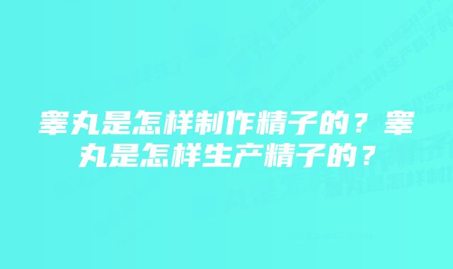 睾丸是怎样制作精子的？睾丸是怎样生产精子的？