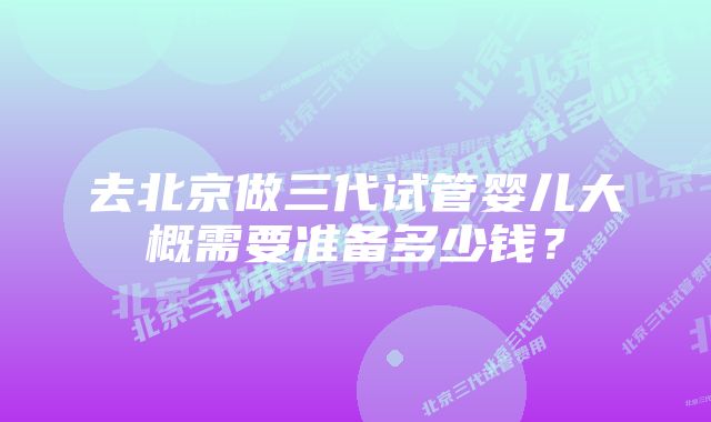 去北京做三代试管婴儿大概需要准备多少钱？