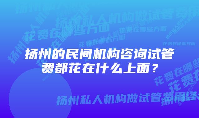 扬州的民间机构咨询试管费都花在什么上面？