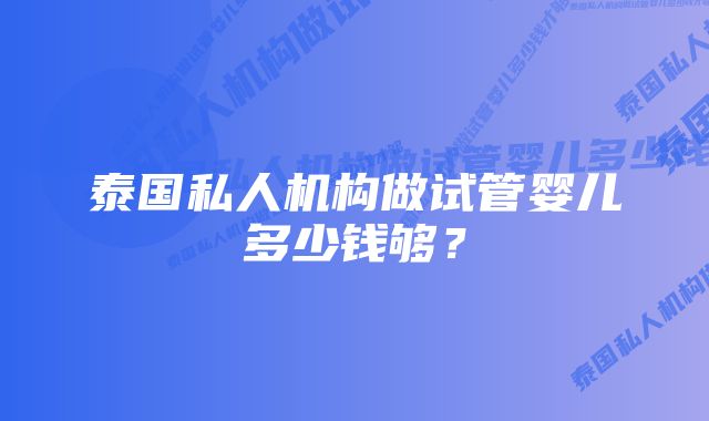 泰国私人机构做试管婴儿多少钱够？