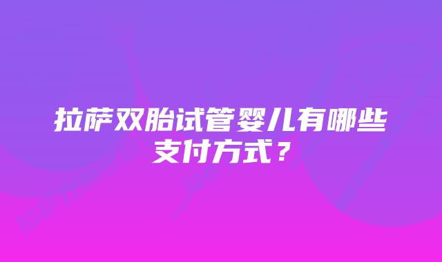 拉萨双胎试管婴儿有哪些支付方式？