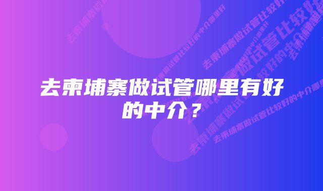 去柬埔寨做试管哪里有好的中介？