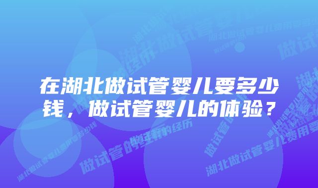 在湖北做试管婴儿要多少钱，做试管婴儿的体验？