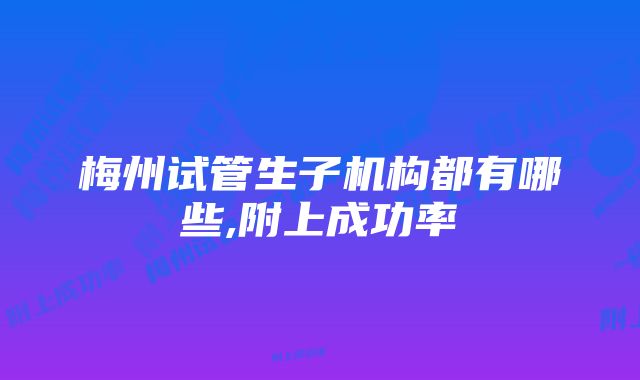 梅州试管生子机构都有哪些,附上成功率